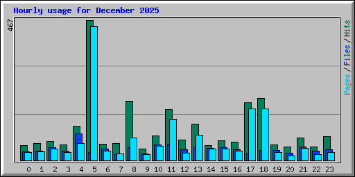 Hourly usage for December 2025