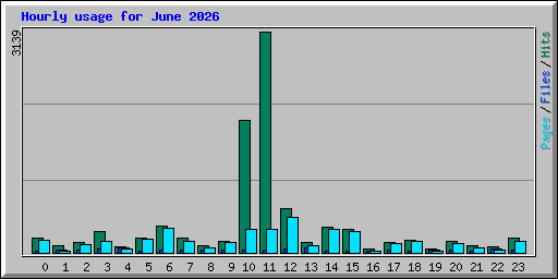 Hourly usage for June 2026