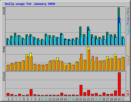 Daily usage for January 2026