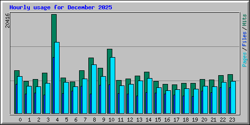 Hourly usage for December 2025