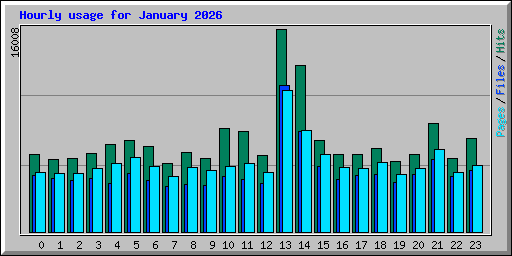 Hourly usage for January 2026