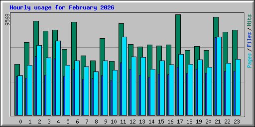 Hourly usage for February 2026