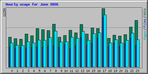 Hourly usage for June 2026