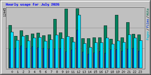 Hourly usage for July 2026