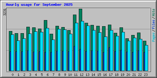 Hourly usage for September 2025