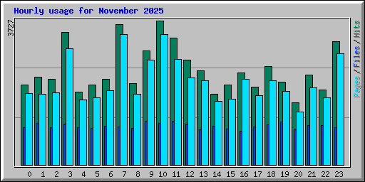Hourly usage for November 2025